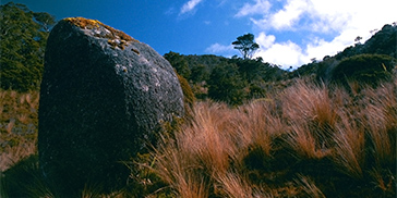 Blue Rock at Heaphy Track