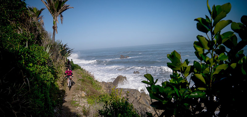 Mountainbiker on the Heaphy Track (Photo by Stephen Roberts)